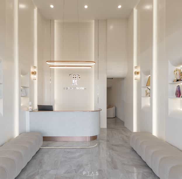 T Pro Brows — photo 1