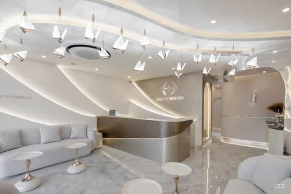 Oho Eyebrows — photo 24