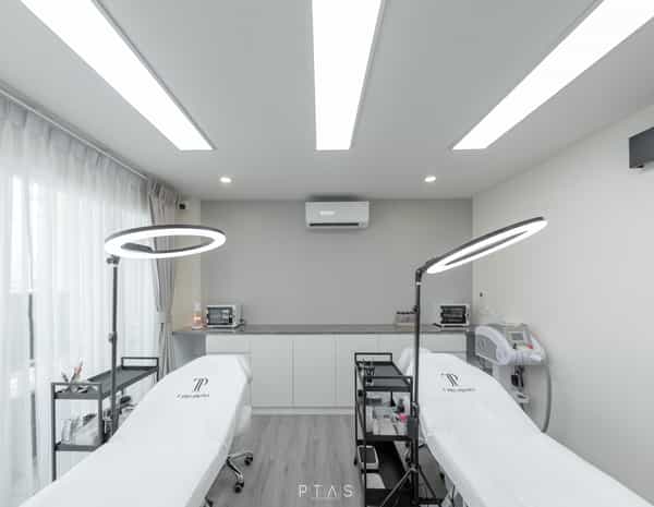 T Pro Brows — photo 29