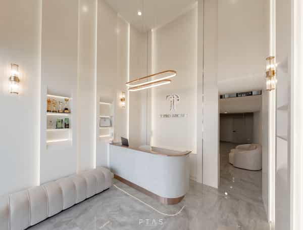 T Pro Brows — photo 4