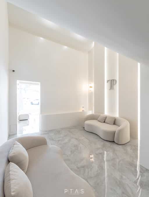 T Pro Brows — photo 10