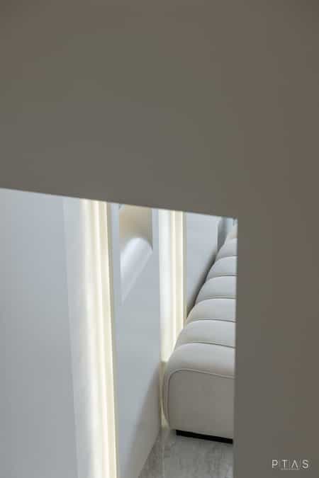 T Pro Brows — photo 37