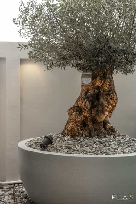 V+N House — photo 40